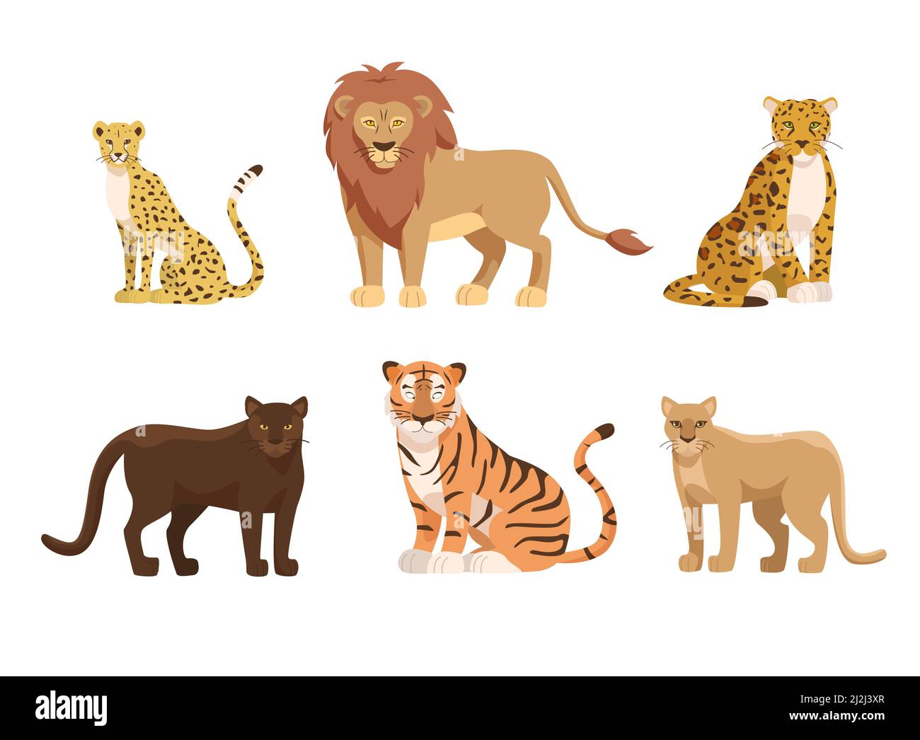 Vektorgrafiken für große Katzen aus Afrika und Nordamerika. Cartoon Tiger, Afrikanischer Löwe, Gepard, Panther, amerikanischer jaguar, Cougar isoliert auf whit Stock Vektor
