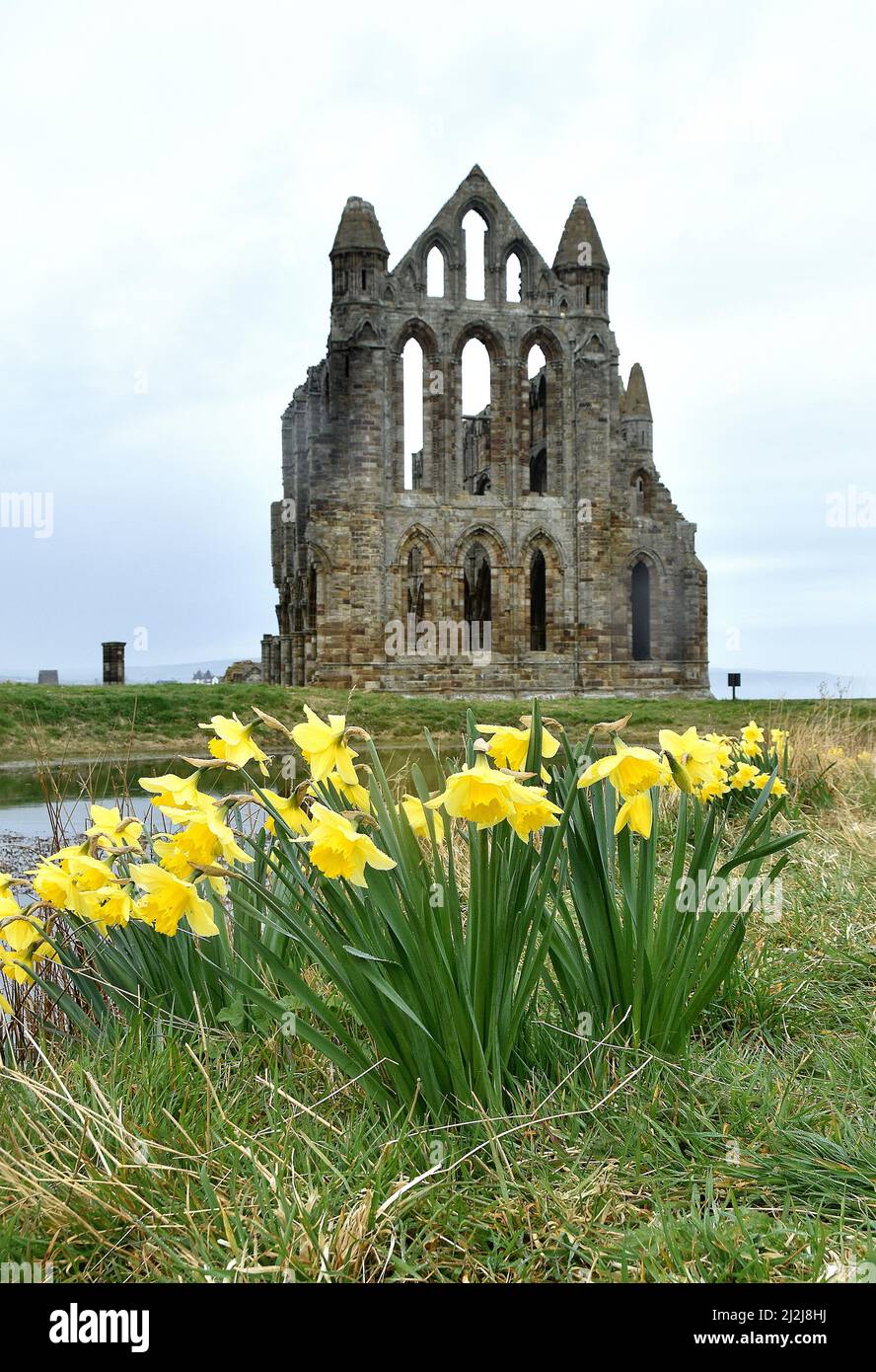 Abtei von whitby in yorkshire Stockfoto