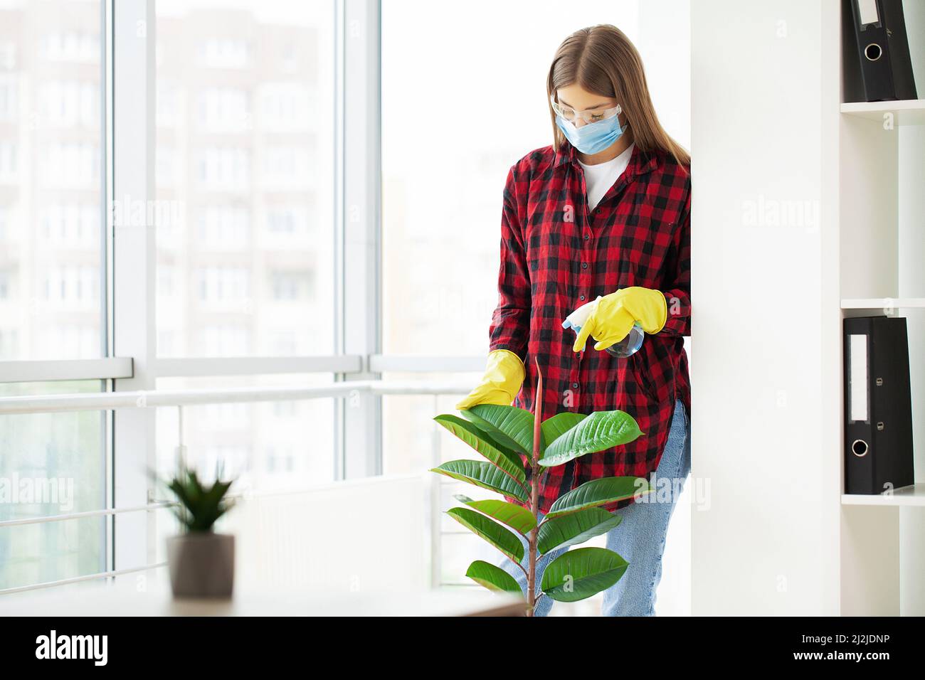 Putzfrau wischt mit einem Lappen die Blätter der Pflanzen im Büro ab. Stockfoto