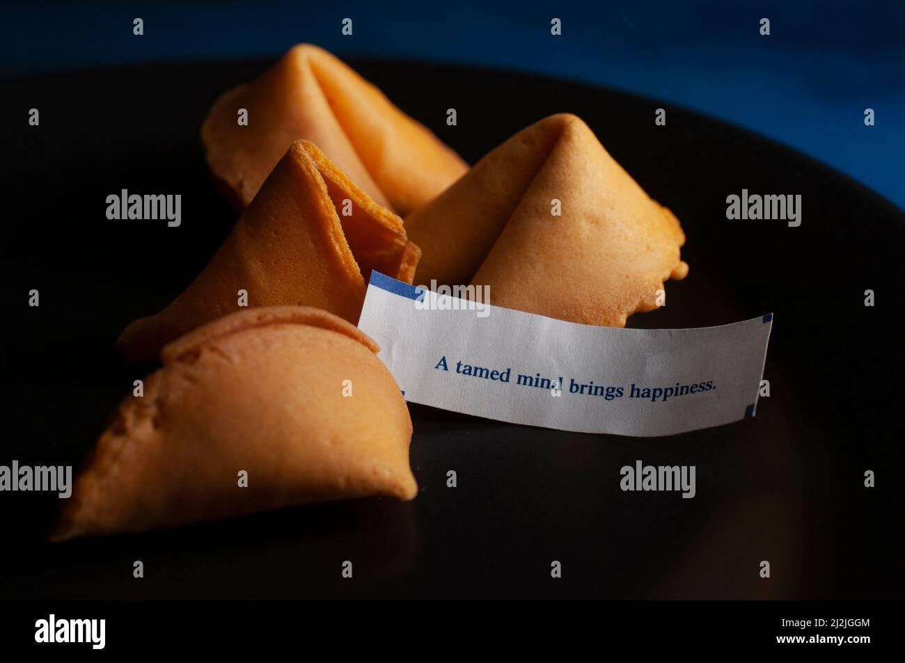 Chinesische Glückskekse auf einem schwarzen Teller und auf einem dunkelblauen Tisch Stockfoto