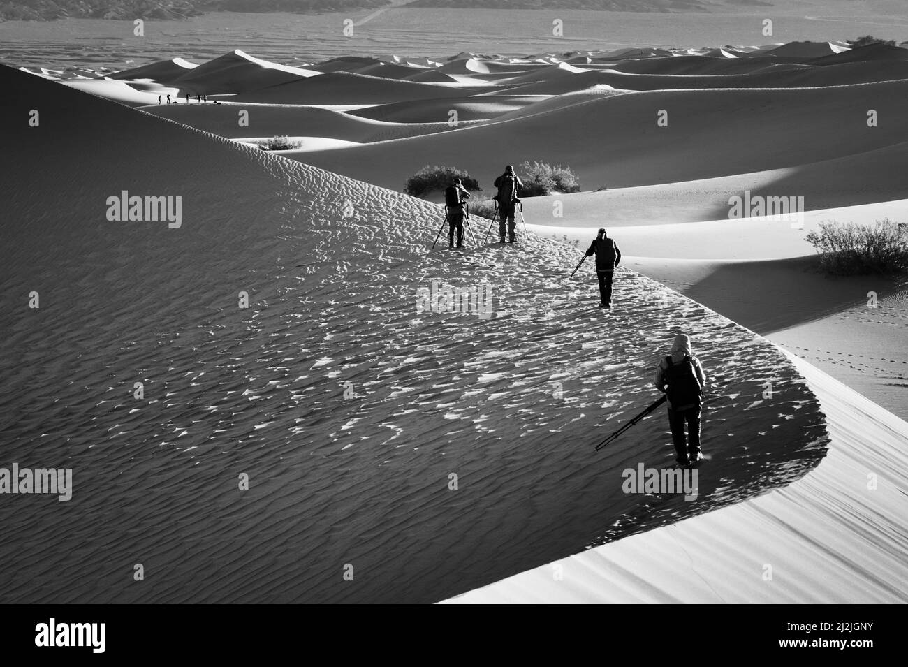 Muench Workshops Fotografen in Mesquite Flat Sand Dunes im Death Valley National Park, Kalifornien. Stockfoto