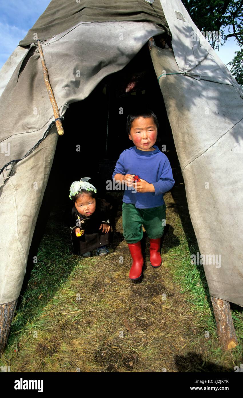 Mongolei. Die Dukha (Tsaatan) sind eine kleine Kultur von Rentierzüchtern, die im nördlichen Khövsgöl Aimag in der Mongolei leben. Stockfoto