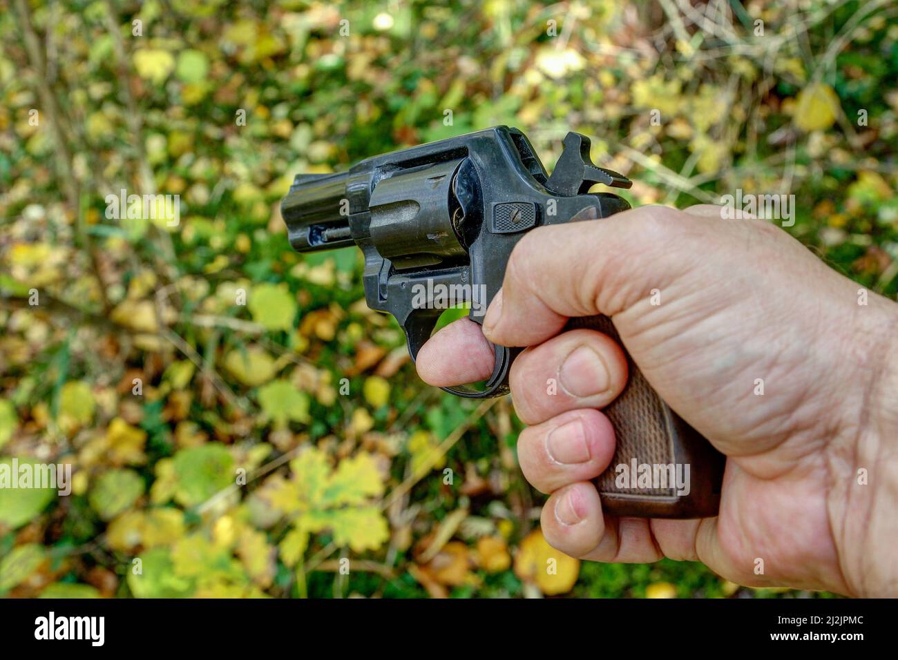Ein Jäger hält einen großkalibrigen Revolver, während er in unwegsamem Gelände und Dickichten nach verwundeten Wildtieren sucht. Stockfoto