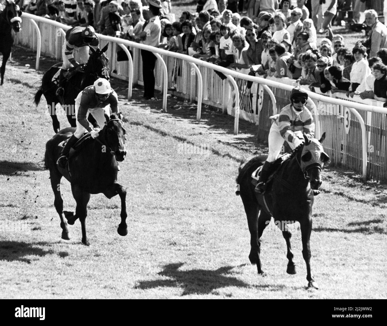 Redcar Racecourse ist eine Vollblut-Pferderennbahn in Redcar, North Yorkshire. Alison Dunn führt die Princess Royal-Heimat zum Redcar-Siegerposten und gewann die ¿1500 Mmomessin Amateur Riders' Stakes auf 8-1 Outside Non Constat. Sie erinnerte sich an ihren ersten Sieg danach und scherzte: „Ich hätte vielleicht eine königliche Begnadigung nötig“. 2.. August 1988. Stockfoto