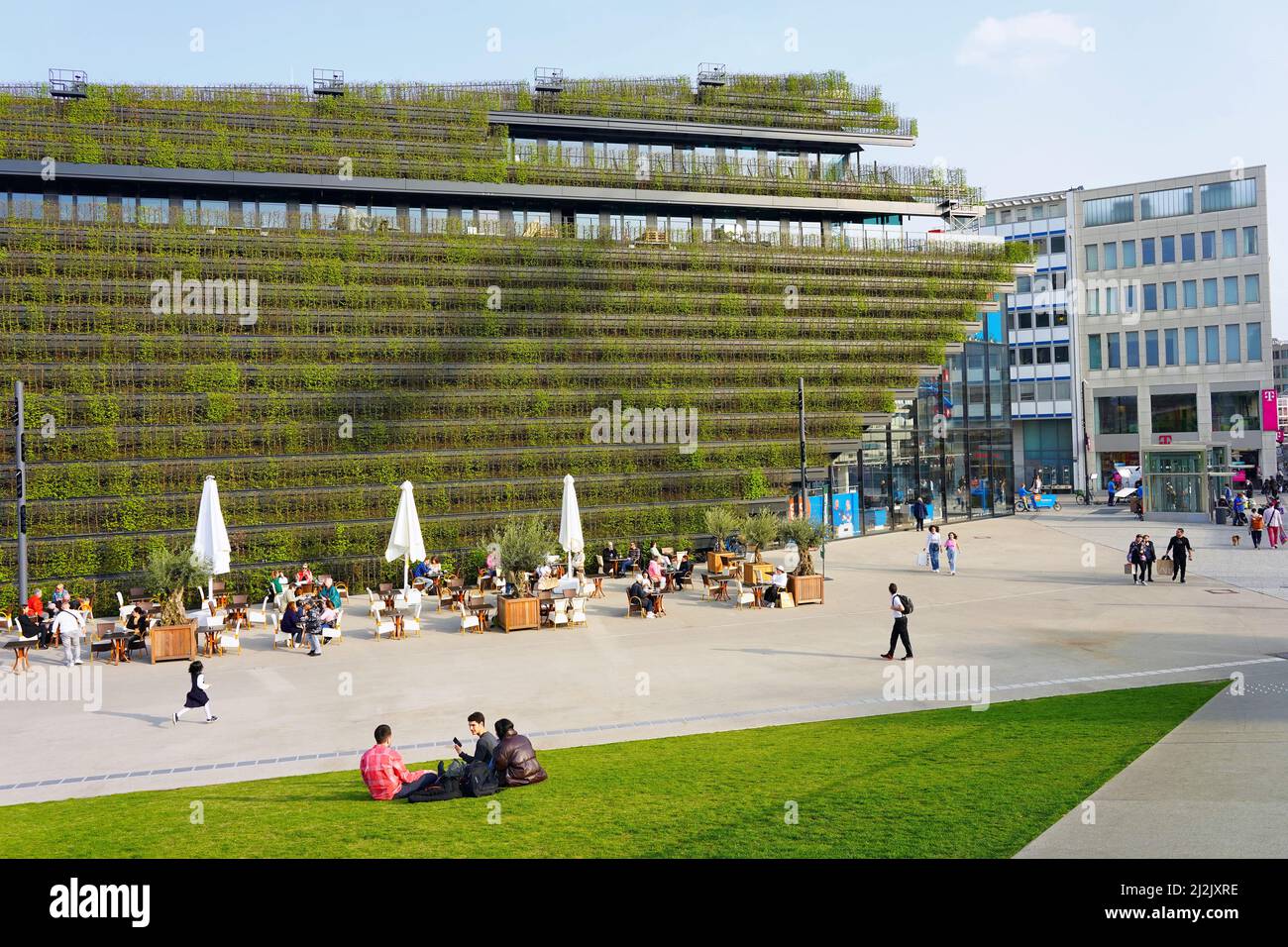 Der innovative Kö-Bogen II in der Düsseldorfer Innenstadt von Ingenhoven Architects mit klimafreundlichem Gebäude, das mit Hainbuchenhecken bedeckt ist. Stockfoto