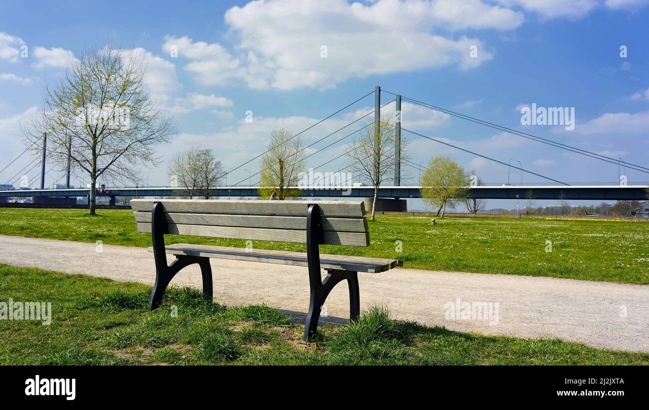 Öffentliche Parkbank an einem sonnigen Frühlingstag im Rheinpark in Düsseldorf. Stockfoto