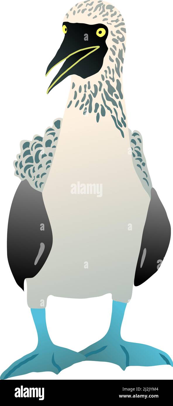 Gannet-Vogel mit blauem Fuß. Flacher Vektor überrascht booby solan Illustration Figur isoliert Stock Vektor