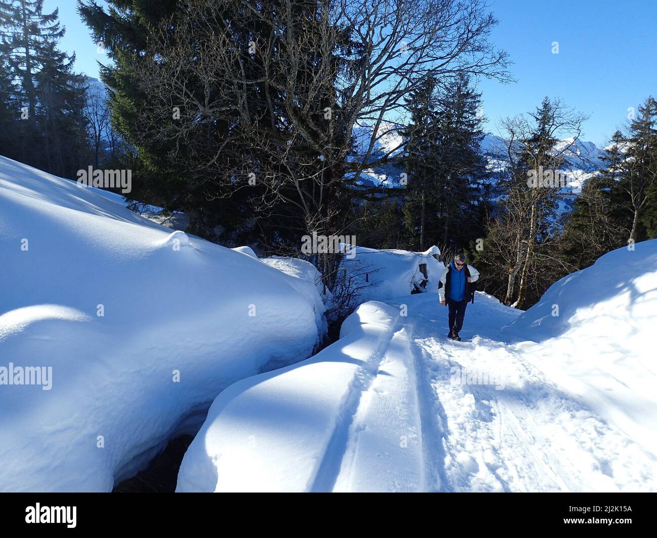 Mann beim Winterwandern, Ibergeregg, Schwyz, Schweiz Stockfoto