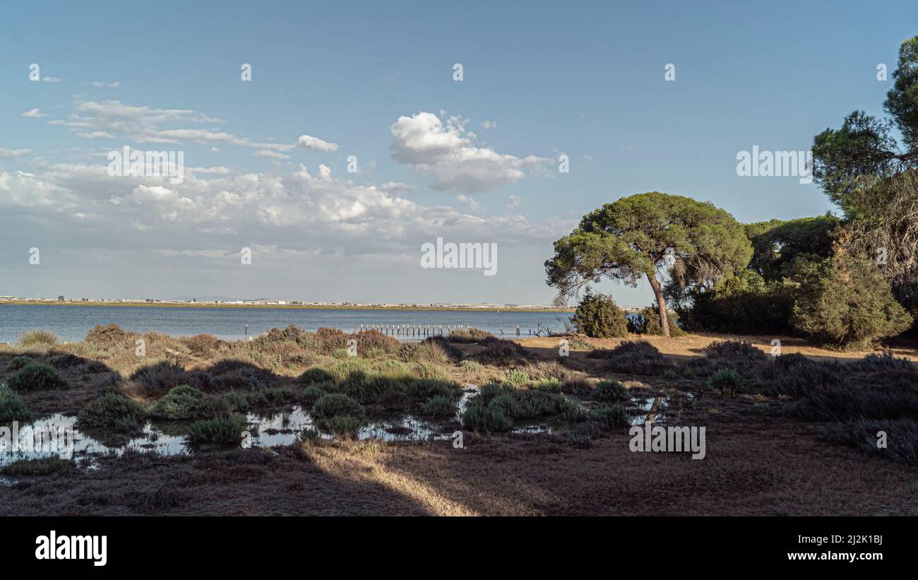 Donana Nationalpark in Spanien Ist Ein UNESCO-Weltkulturerbe Stockfoto