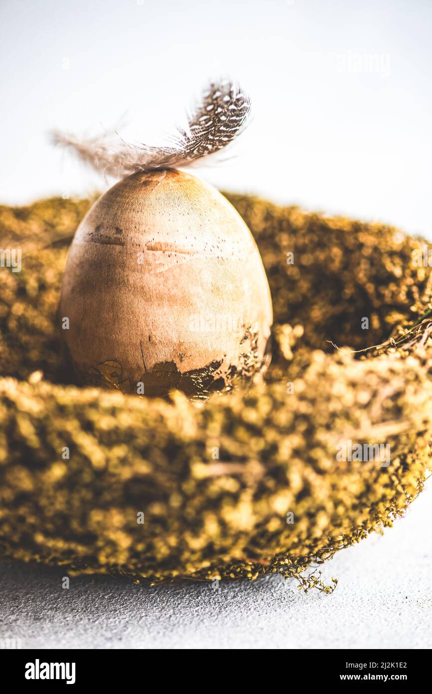 Feder auf einem goldenen Osterei in einem Vogelnest Stockfoto