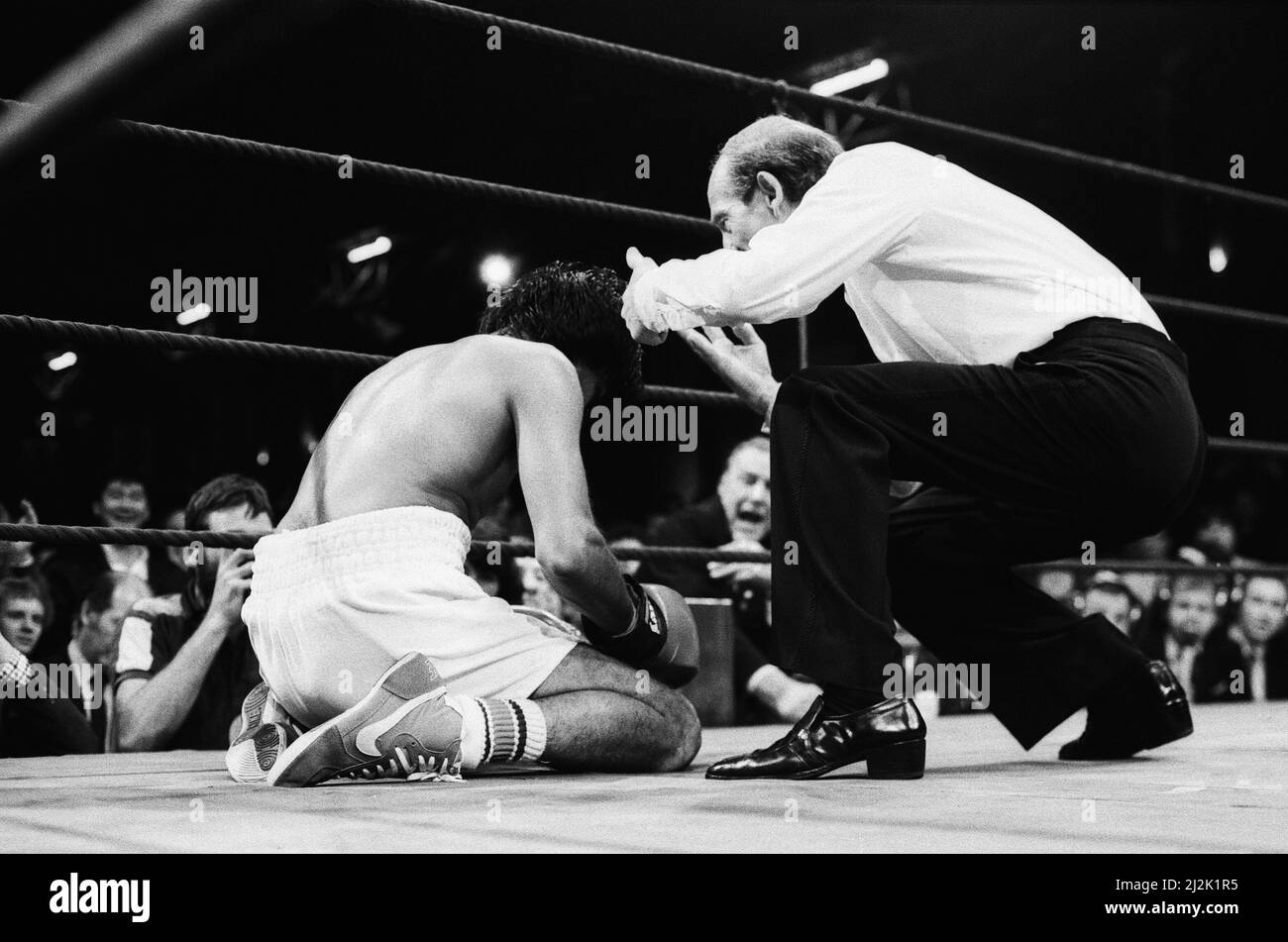 Barry McGuigans Comeback-Kampf gegen Nicky Perez, Alexandra Pavillion, London.Dies war McGuigans erster Kampf, nachdem er seinen WBA-Titel an Steve Cruz verloren hatte. McGuigan gewann durch KO in Runde vier. (Bild zeigt) Nicky Perez trifft auf die Leinwand und zählt. 4.. April 1988. Stockfoto