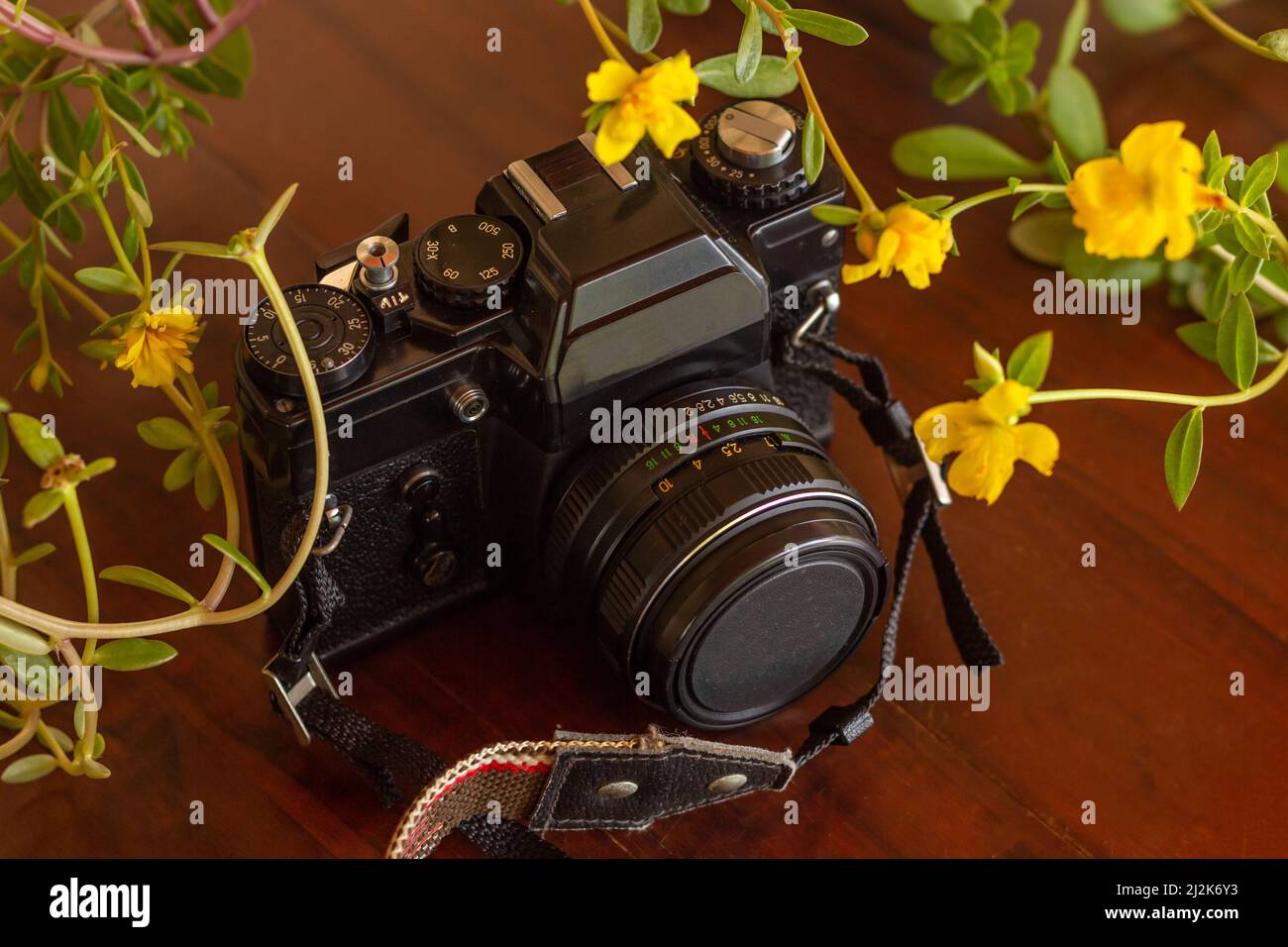 Goiânia, Goias, Brasilien – 02. April 2022: Eine Vintage-Fotokamera zwischen bunten Blumen auf einem Holztisch. Stockfoto