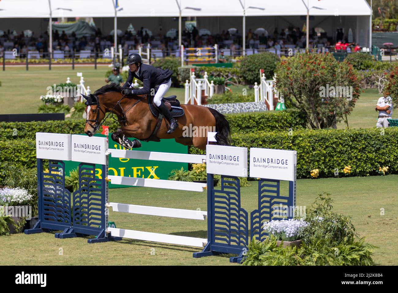 Wellington, FL, USA. 2.. April 2022. Schlagen Sie Mandli auf Dsarie beim Rolex Grand Prix CSI5 $500.000 im Derby Field im Equestrian Village. Springen CSI5. Großer Preis Des Reitsports. Kredit: Yaroslav Sabitov/YES Market Media/Alamy Live Nachrichten. Stockfoto