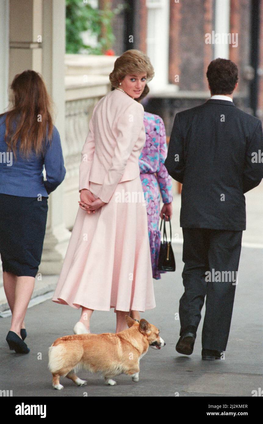 Prinzessin Diana, die Prinzessin von Wales, nimmt am 88.. Geburtstag der Queen Mother im Clarence House, London, Teil.die Prinzessin ist beim Spazierengehen mit einem Royal Corgi im Schlepptau abgebildet. Bild aufgenommen am 4.. August 1988 Stockfoto