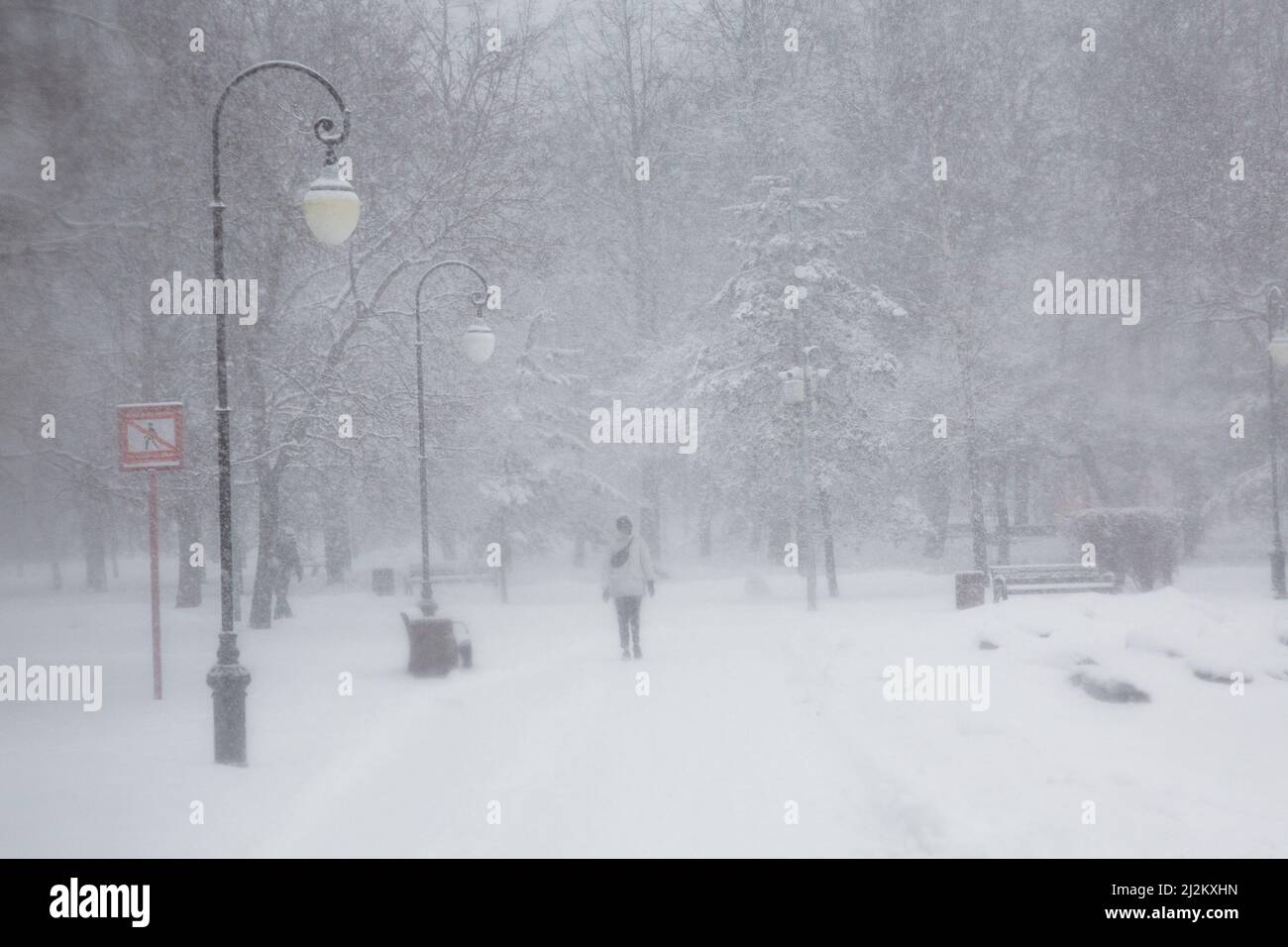 Moskau, Russland. 2.. April 2022. Ein Mädchen geht während eines Schneesturms im Moskauer Park spazieren. Quelle: Nikolay Vinokurov/Alamy Live News Stockfoto