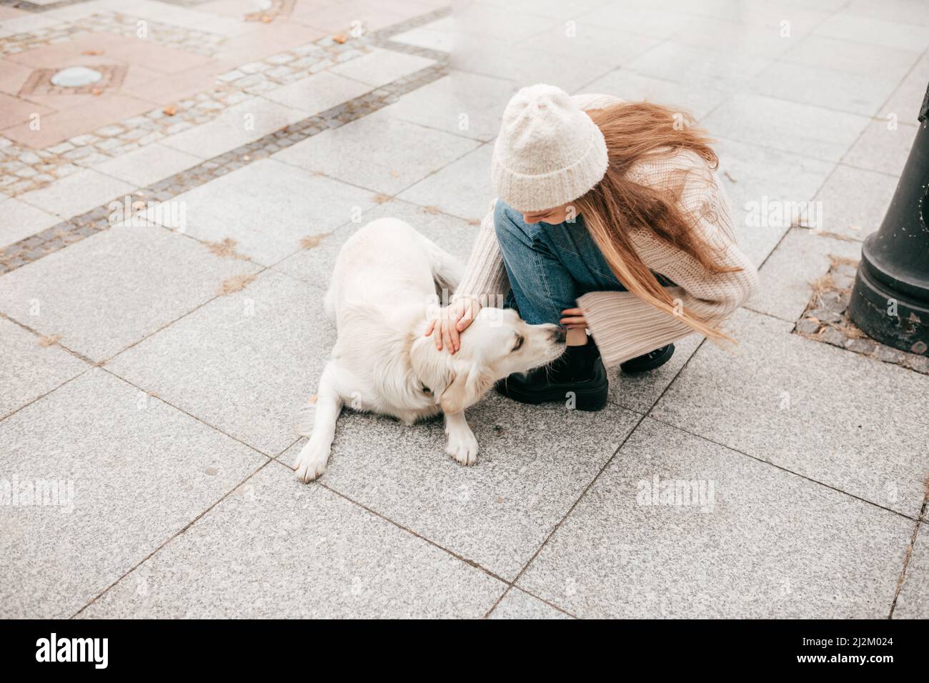 Frau, Hundebesitzerin streichelt, umarmt und spielt mit dem goldenen Labrador Retriever auf der Straße. Ttraining Stockfoto