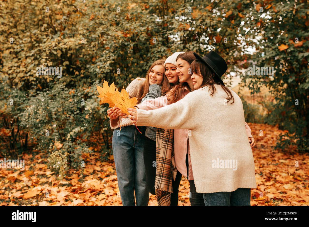 Vier enge Freundinnen Unternehmen Gruppe verbringen Zeit zusammen, hängen lachend im Herbst Golden Tree Naturpark Stockfoto