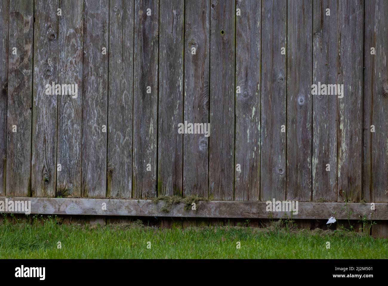 Ehrfürchtige Textur Zaun mit schönen Verfall verzehrende Wand. Schneiden Sie Gras, das über die Grundlinie spritzt. Stockfoto