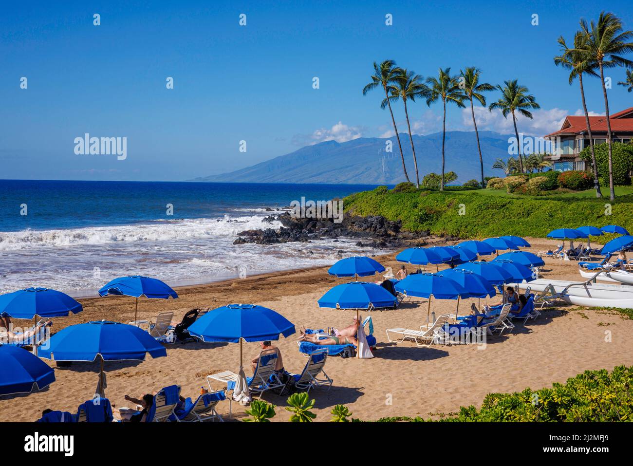 Blick auf Polo Beach und Palmen, Wailea, Makena, Süd Maui, Hawaii. Stockfoto