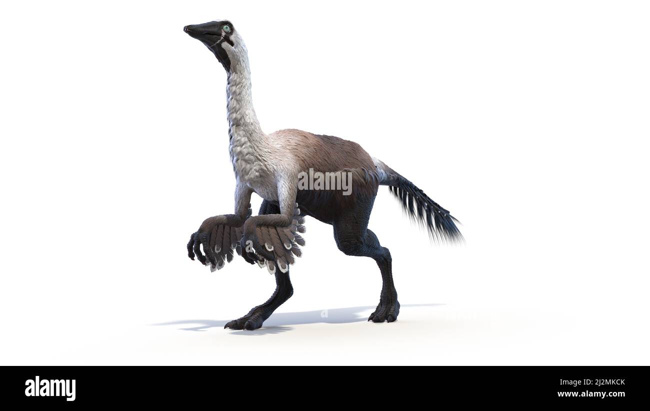 Gallimimus, Illustration Stockfoto