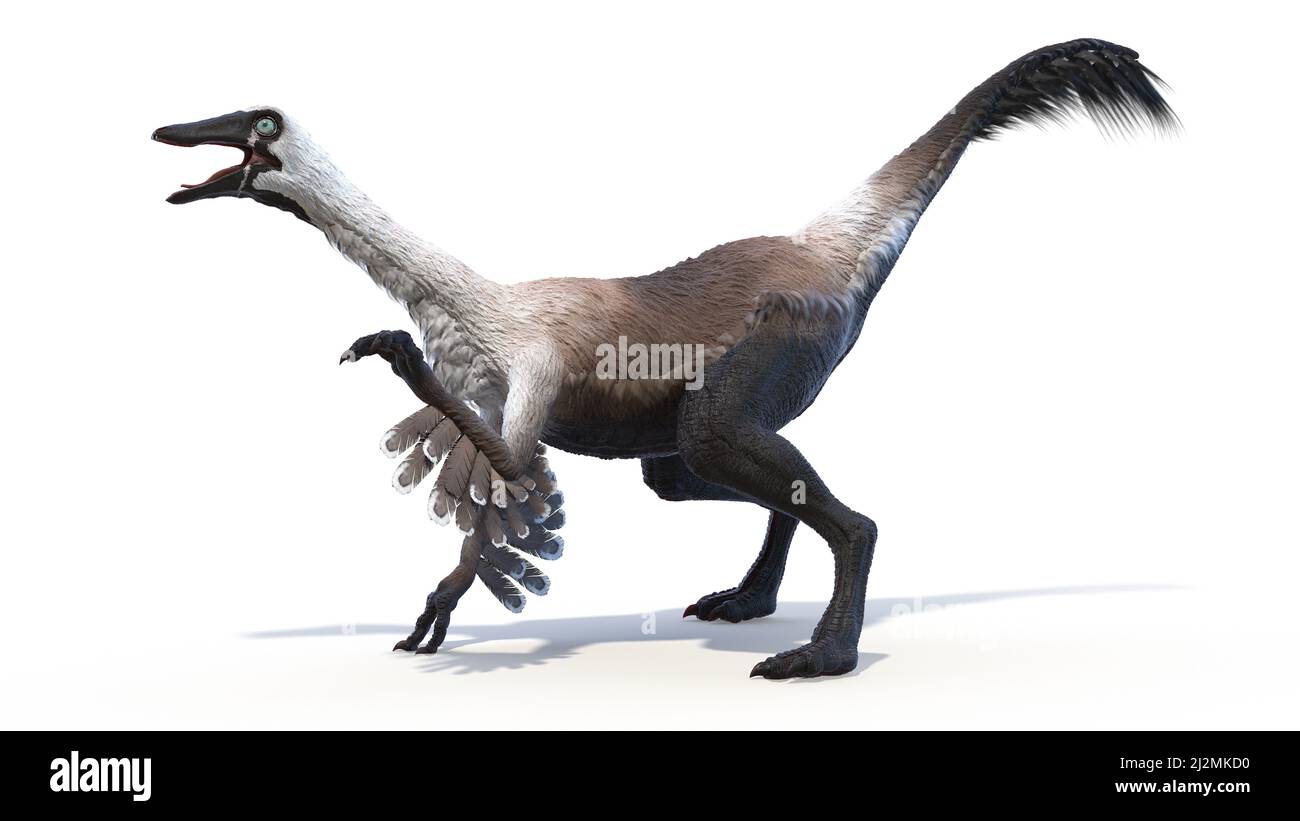 Gallimimus, Illustration Stockfoto