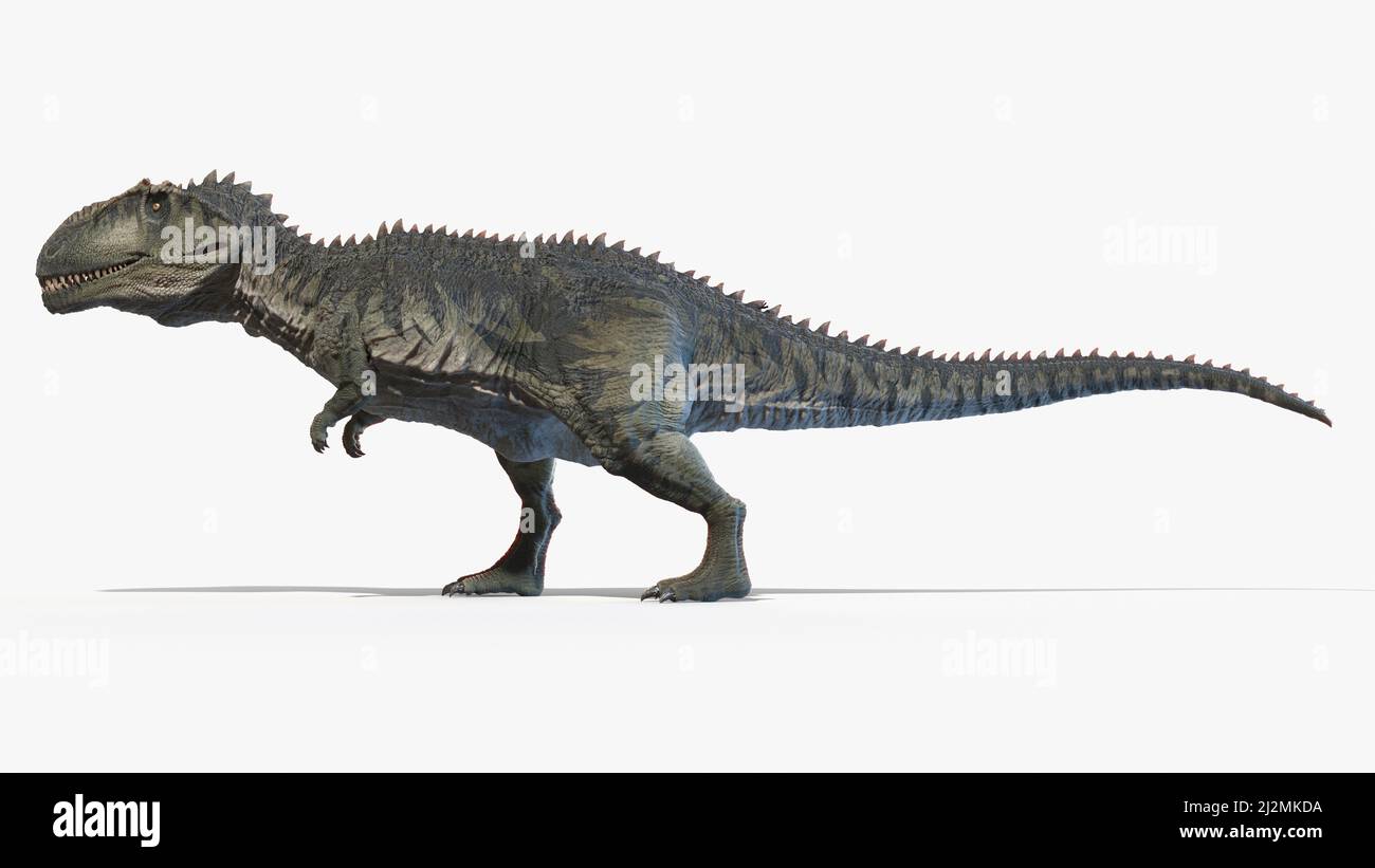 Giganotosaurus, Illustration Stockfoto