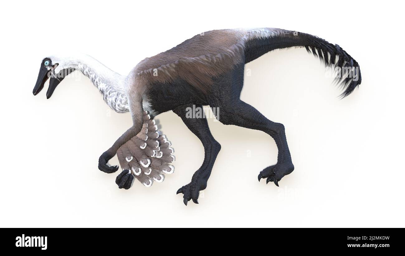 Gallimimus, Illustration Stockfoto