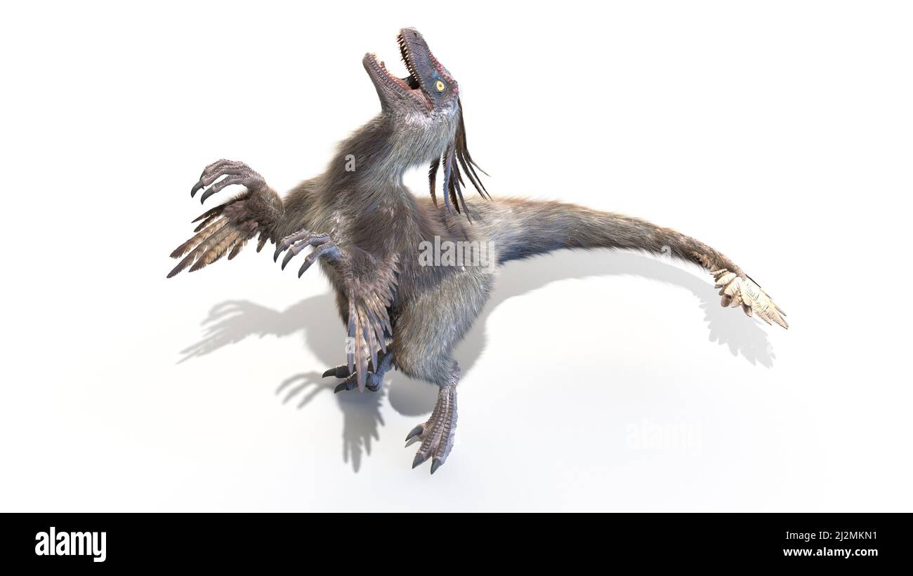 Velociraptor, Illustration Stockfoto
