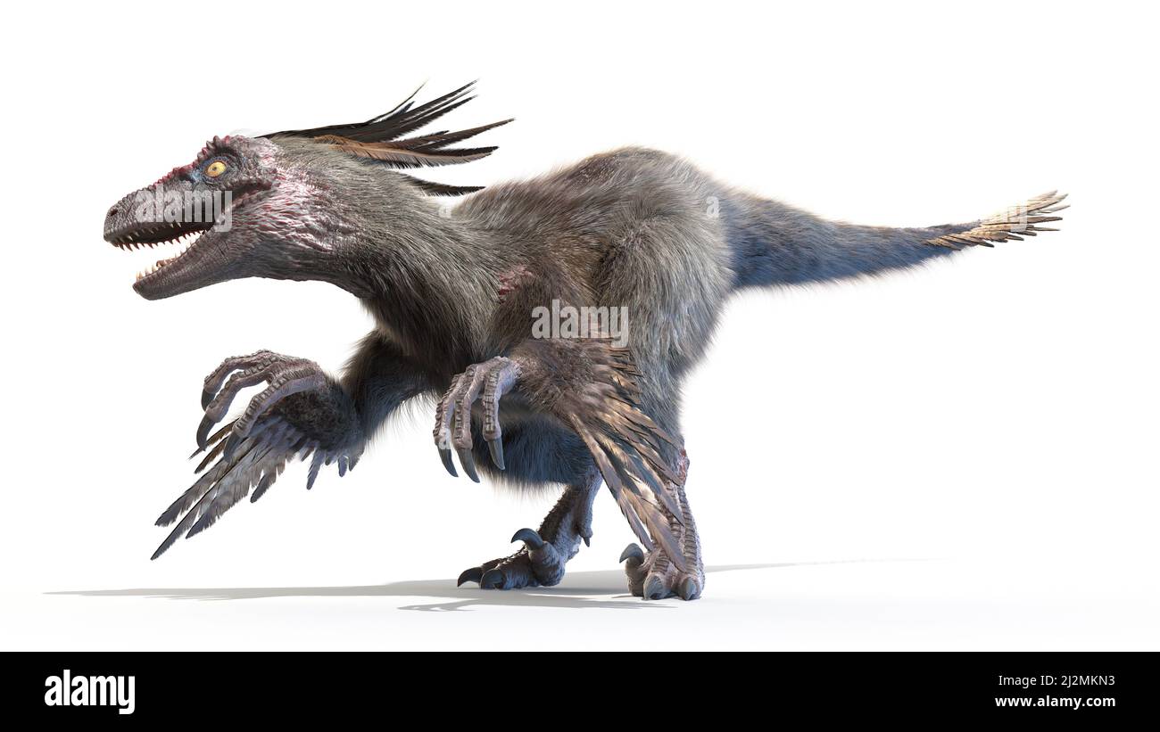 Velociraptor, Illustration Stockfoto