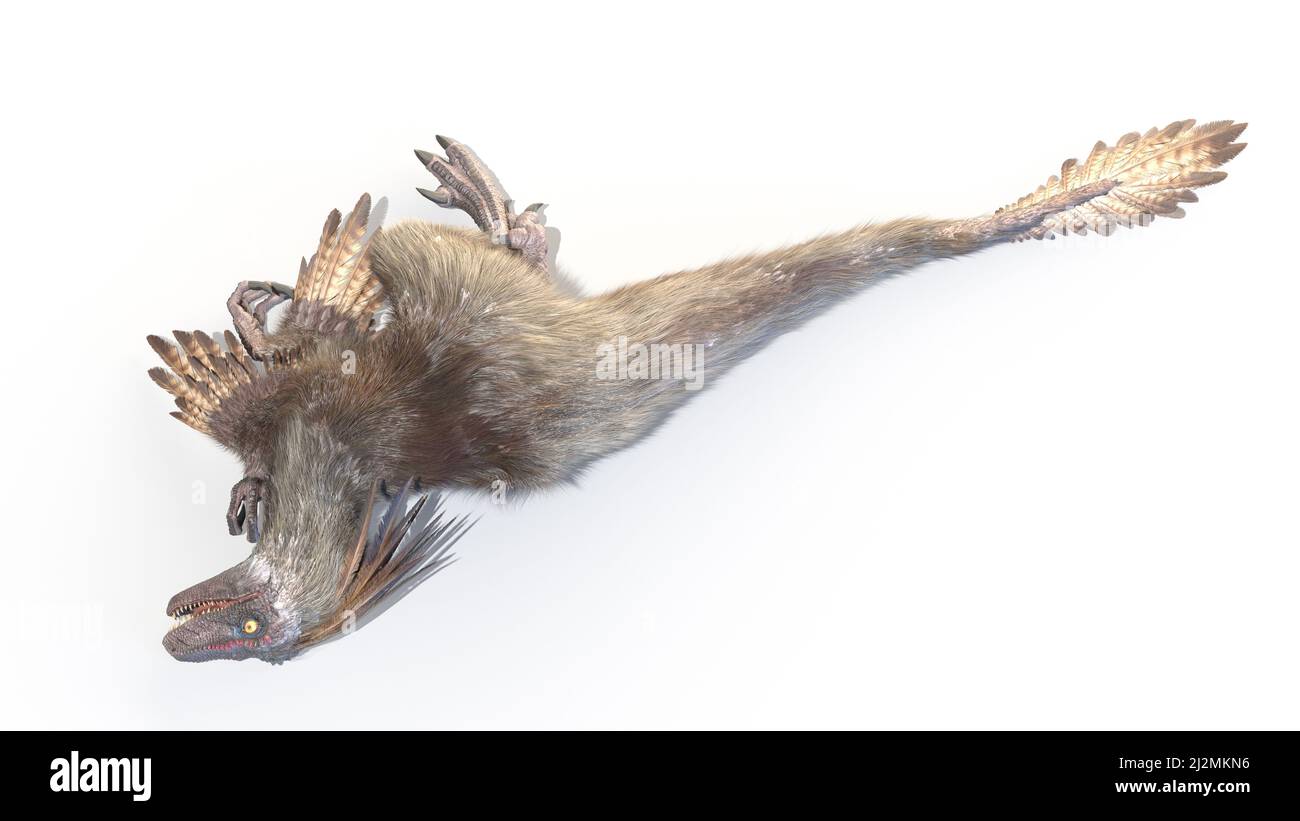 Velociraptor, Illustration Stockfoto