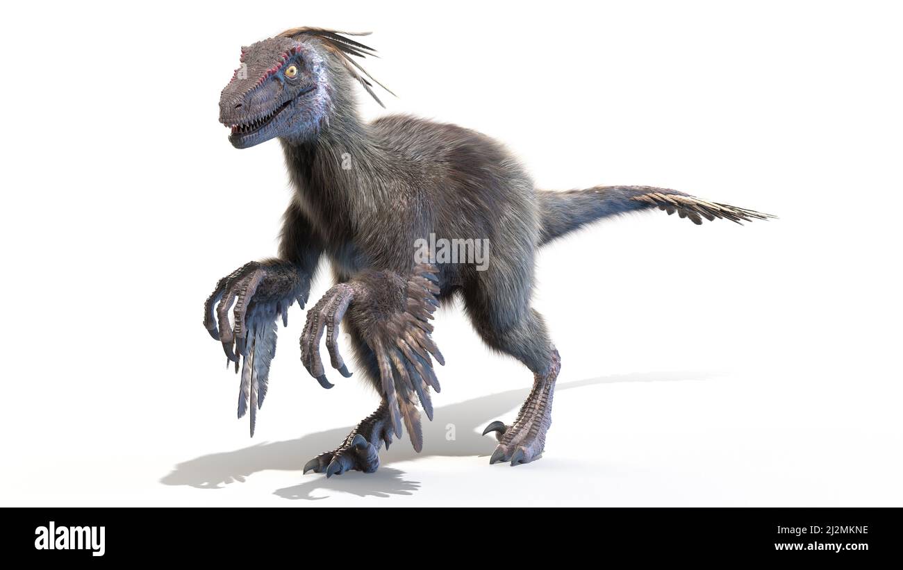Velociraptor, Illustration Stockfoto
