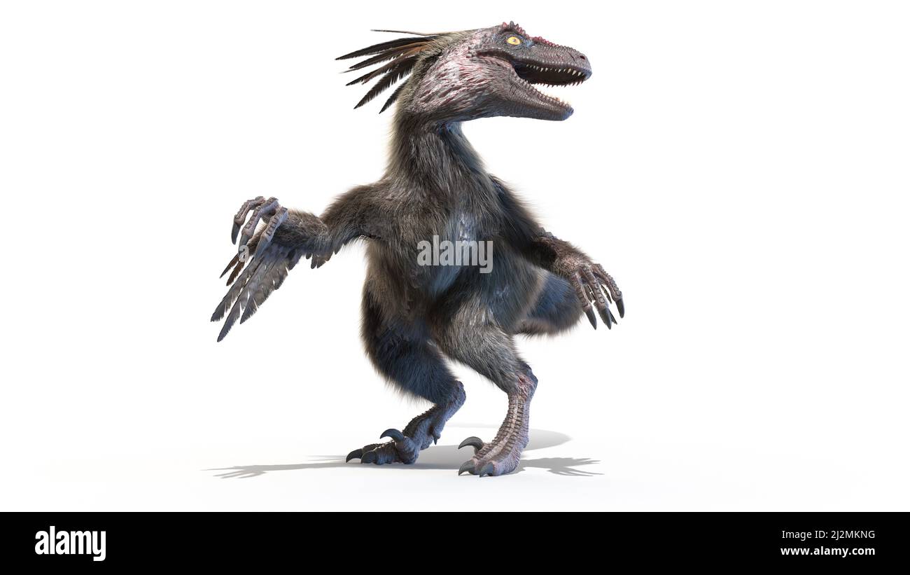 Velociraptor, Illustration Stockfoto