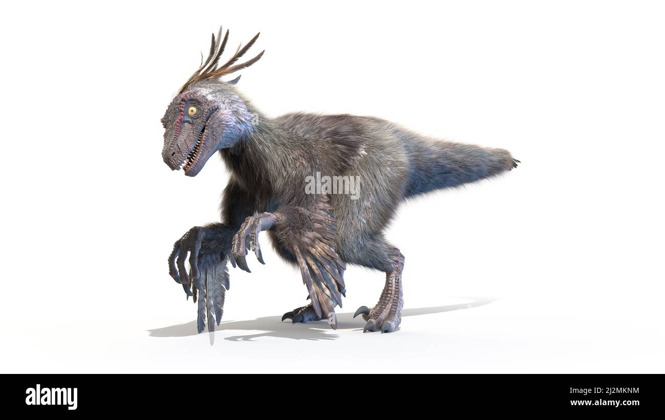 Velociraptor, Illustration Stockfoto