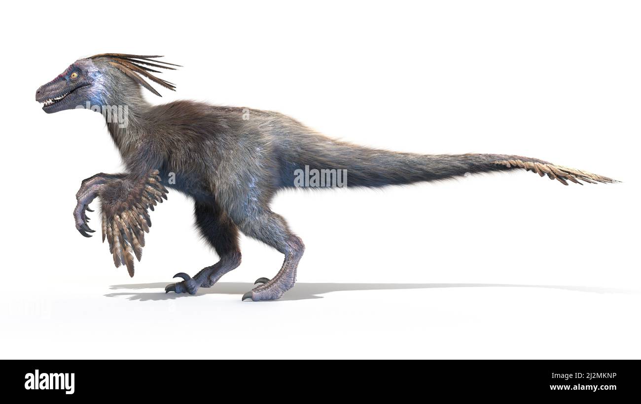 Velociraptor, Illustration Stockfoto