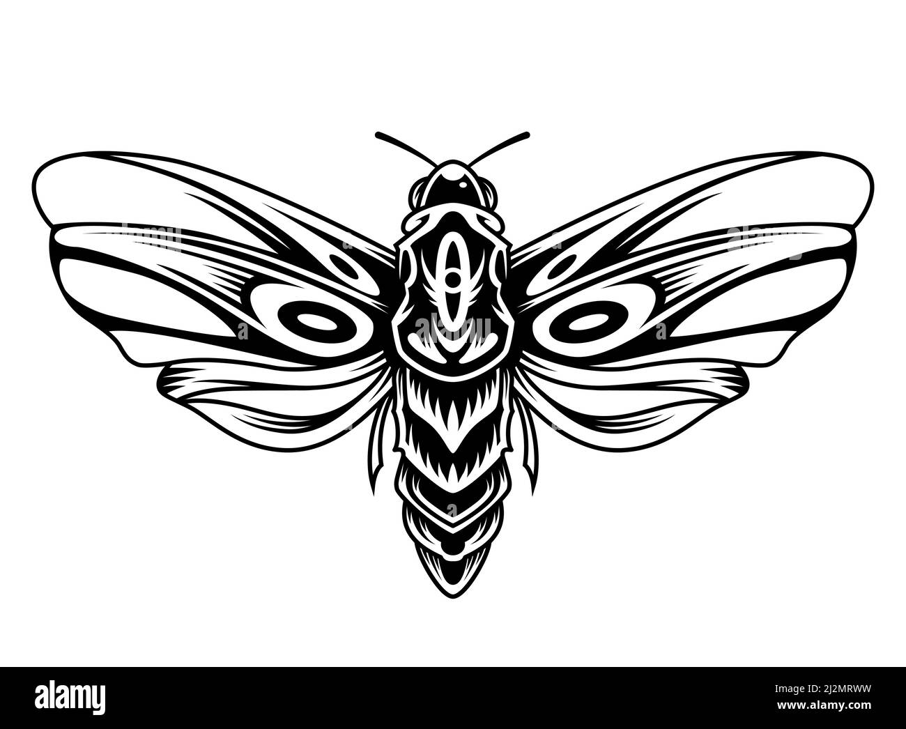 Schöne Schmetterling Vintage-Konzept in monochromen Stil isoliert Vektor-Illustration Stock Vektor