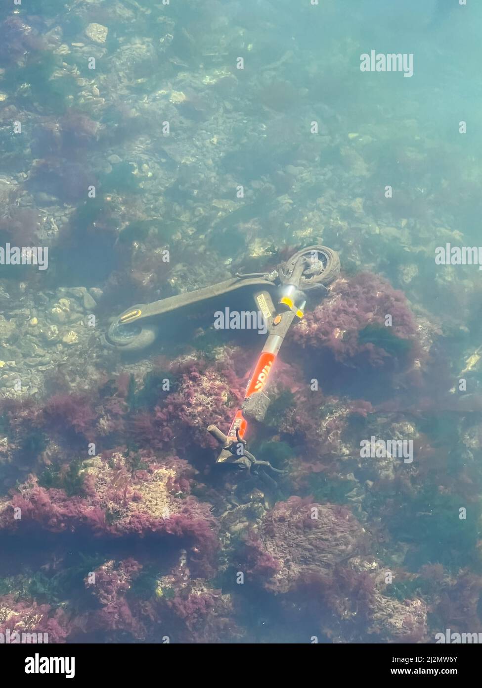 Seattle, USA. 22 März 2022. Ein EV Spin-Mitfahrroller, der entlang der Uferpromenade in die Elliott Bay geschleudert wird. Stockfoto