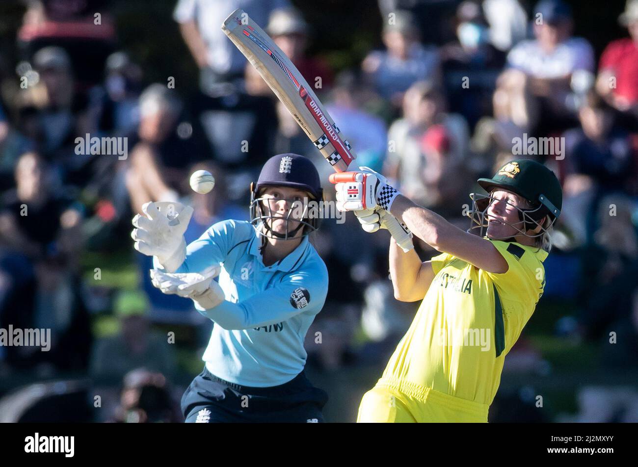 Alyssa Healy hat sich während des ICC Women's World Cup 2022 Final Matches in Hagley Oval, Christchurch, für Australien eingesetzt. Bilddatum: Sonntag, 3. April 2022. Stockfoto