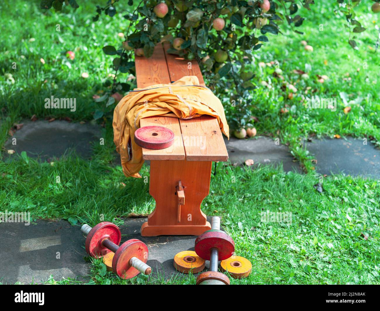 Fitnessstudio in einem Park, Bank und Hanteln, Aufnahme bei sonnigem Tageslicht Stockfoto