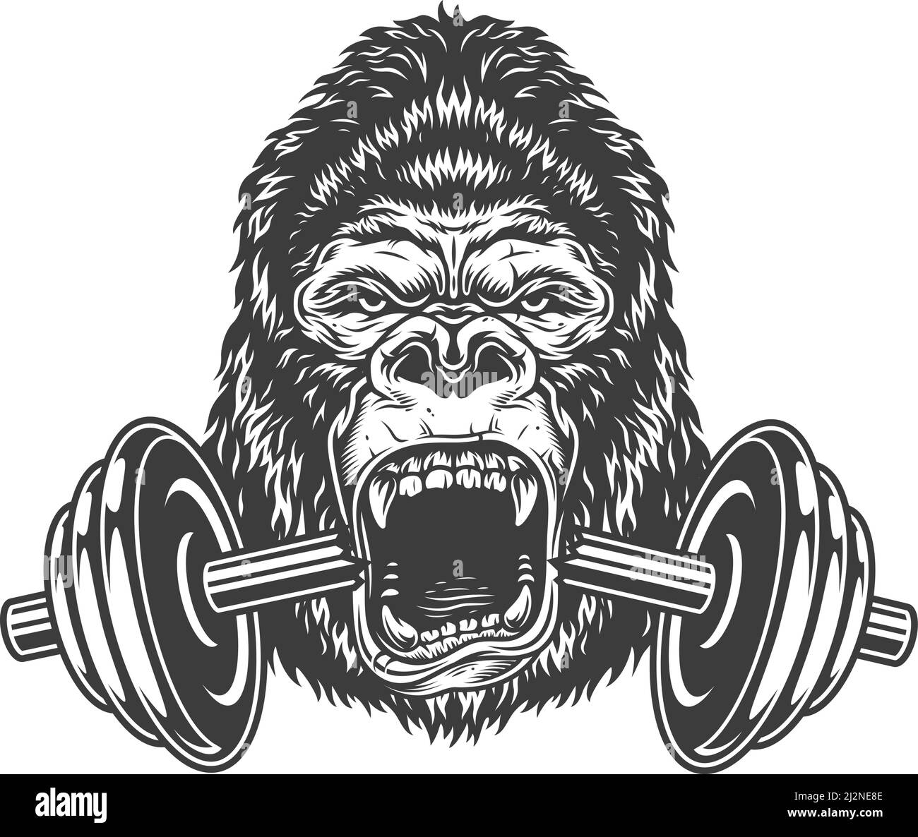 Bodybuilding-Konzept mit Gorilla und rissiger Hantel. Vektorgrafik. Stock Vektor