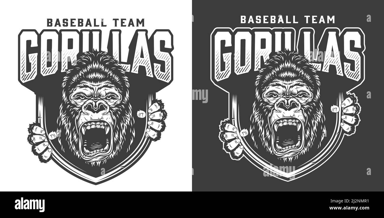 Baseball-Team wütend Gorilla Maskottchen Emblem mit wilden Primaten Kopf Und Krallen in Vintage monochromen Stil isoliert Vektor-Illustration Stock Vektor