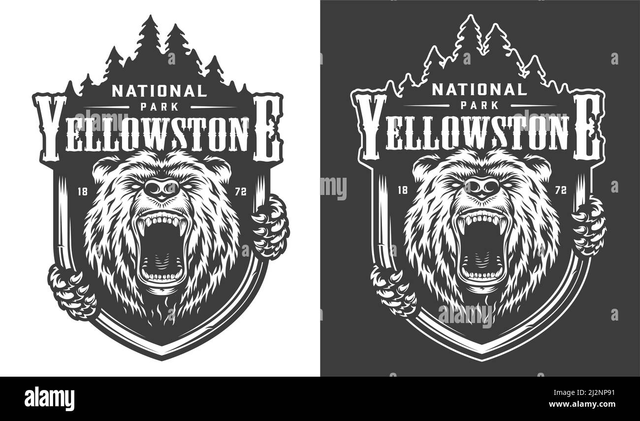 Yellowstone National Park vintage monochromes Logo mit wildem Bären und Wald Silhouette isoliert Vektor Illustration Stock Vektor