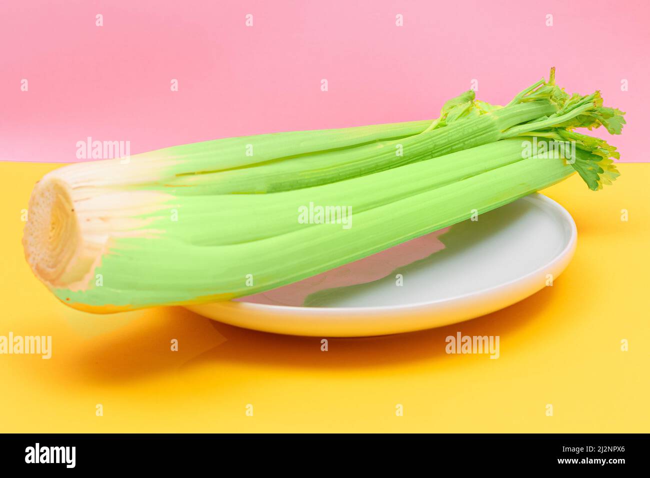 Frischer Sellerie-Stiel auf weißem Gericht. Vegane und vegetarische Kultur. Rohkost. Gesunde Ernährung mit negativem Kaloriengehalt Stockfoto