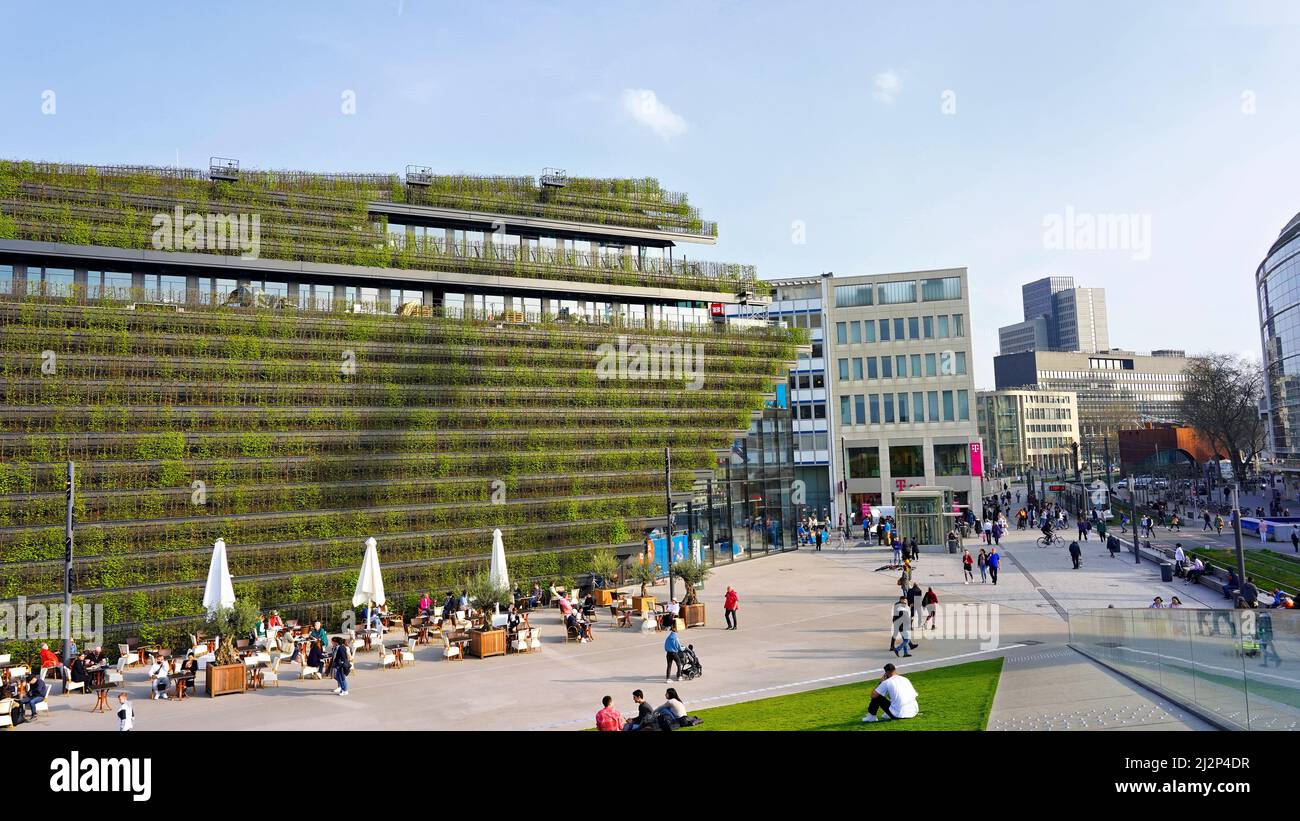 Der neugebaute Kö-Bogen II-Komplex in der Düsseldorfer Innenstadt an einem Frühlingsnachmittag mit umweltfreundlichem Gebäude, das mit Hainbuchenhecken bedeckt ist. Stockfoto