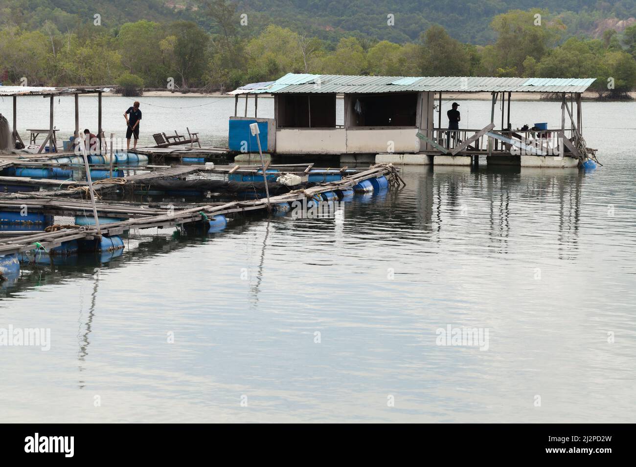 Kota Kinabalu, Malaysia - 23. März 2019: Kleine Fischfarm am Mengkabong River, Fischer sind auf schwimmenden Ponton Stockfoto