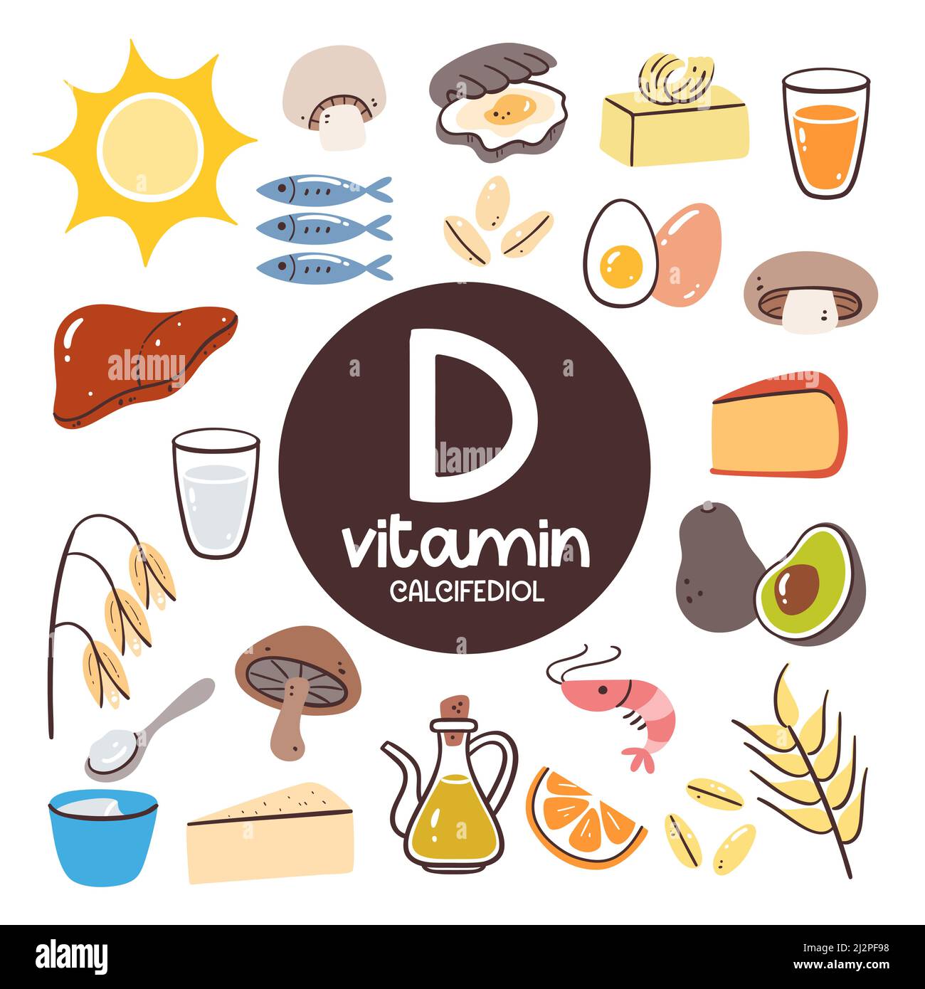 Lebensmittel mit hohem Vitamin D-Gehalt (Calcifediol). Zutaten zum Kochen. Meeresfrüchte, Milchprodukte, Öl, Getreide, Pilze, Eier, Leber Stock Vektor