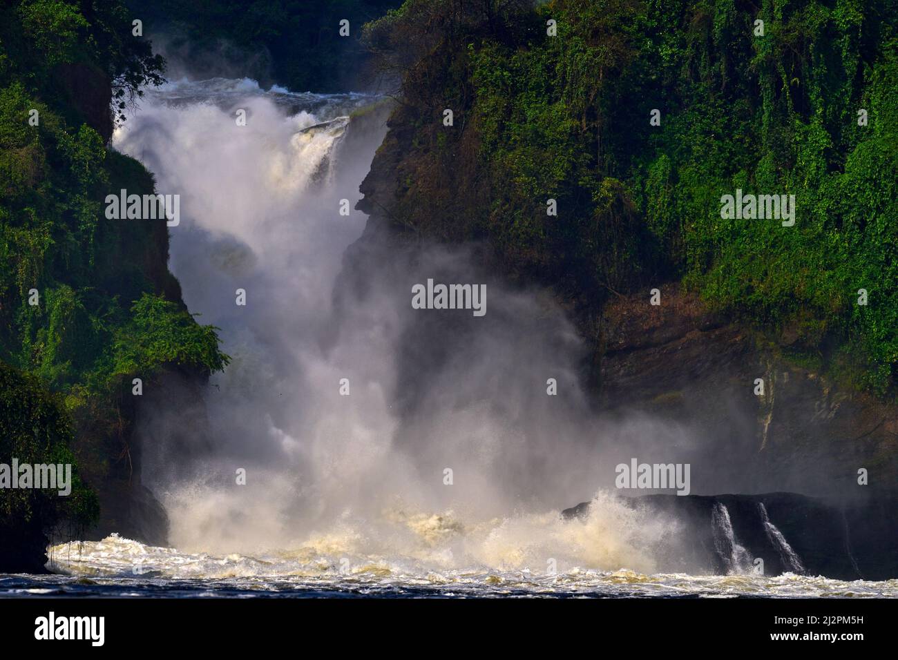 Murchison Falls, Wasserfall zwischen Lake Kyoga und Lake Albert auf dem Victoria Nil in Uganda. Afrika Flusslandschaft. Stockfoto