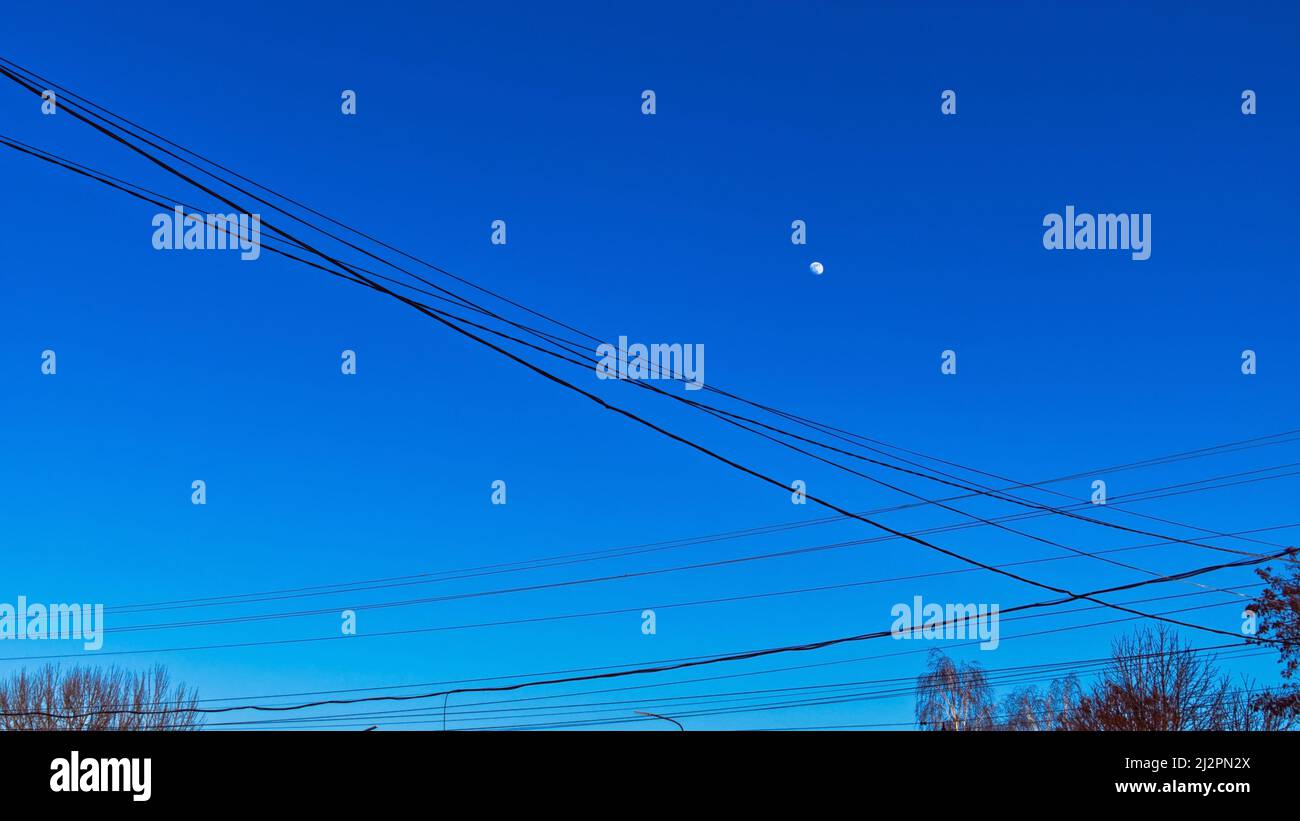 Mond am Abend blauer wolkenloser Himmel, viele Drähte und Baumkronen im Vordergrund Stockfoto