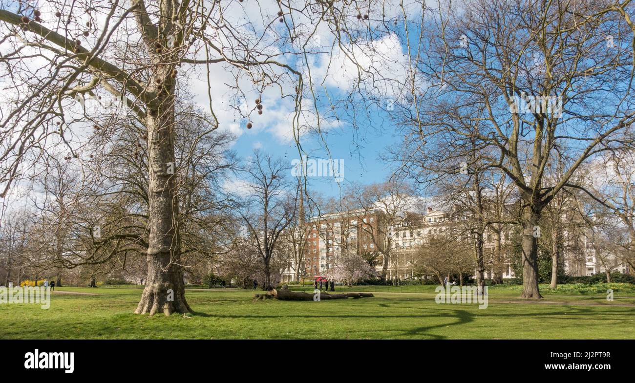 Hyde Park, London im Winter/Frühling Stockfoto