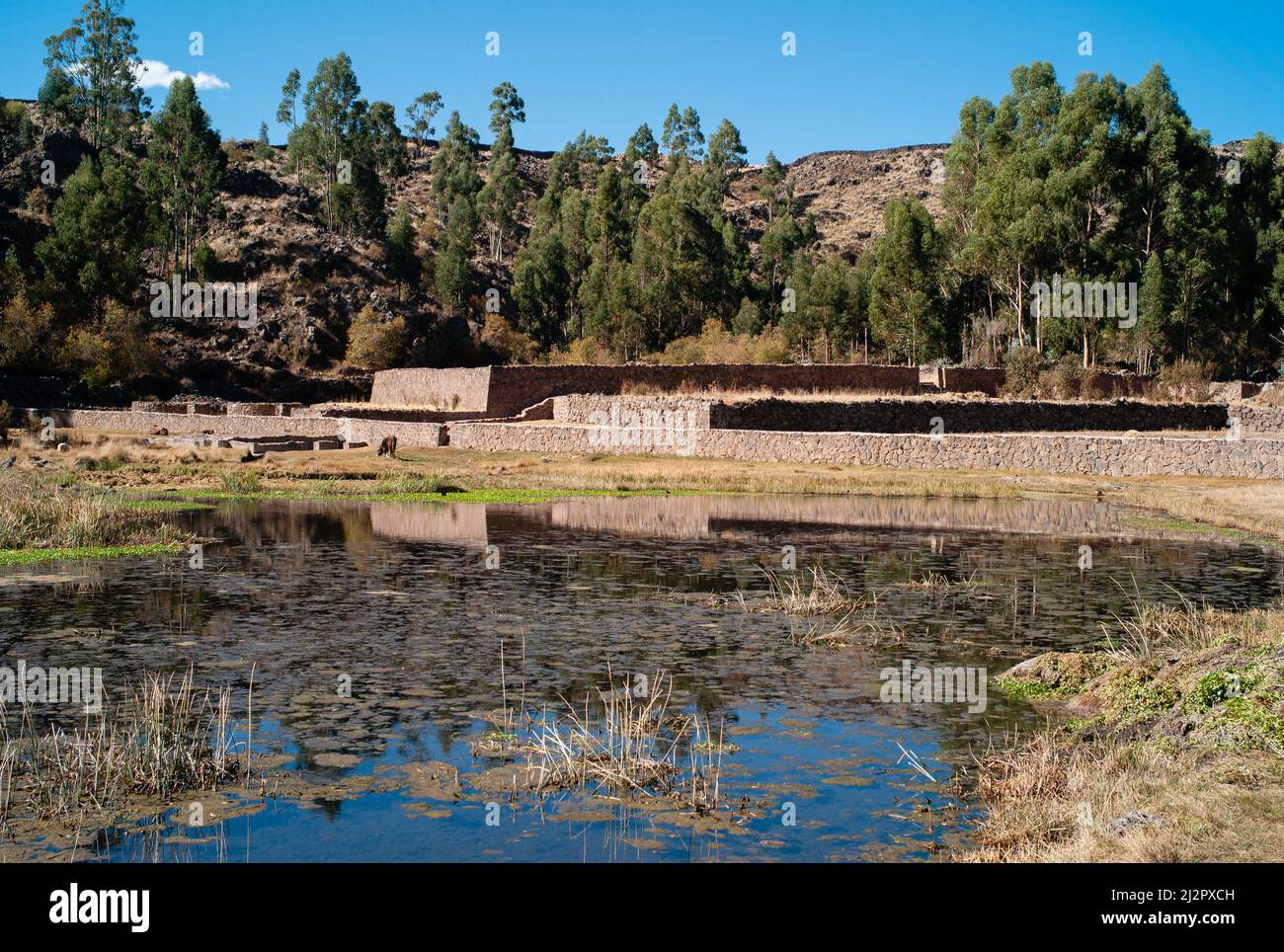 Mesapata Sektor erhöhte Plattformen und Qucha Lagune oder künstlicher Teich in den Raqchi Ruinen in Peru Stockfoto