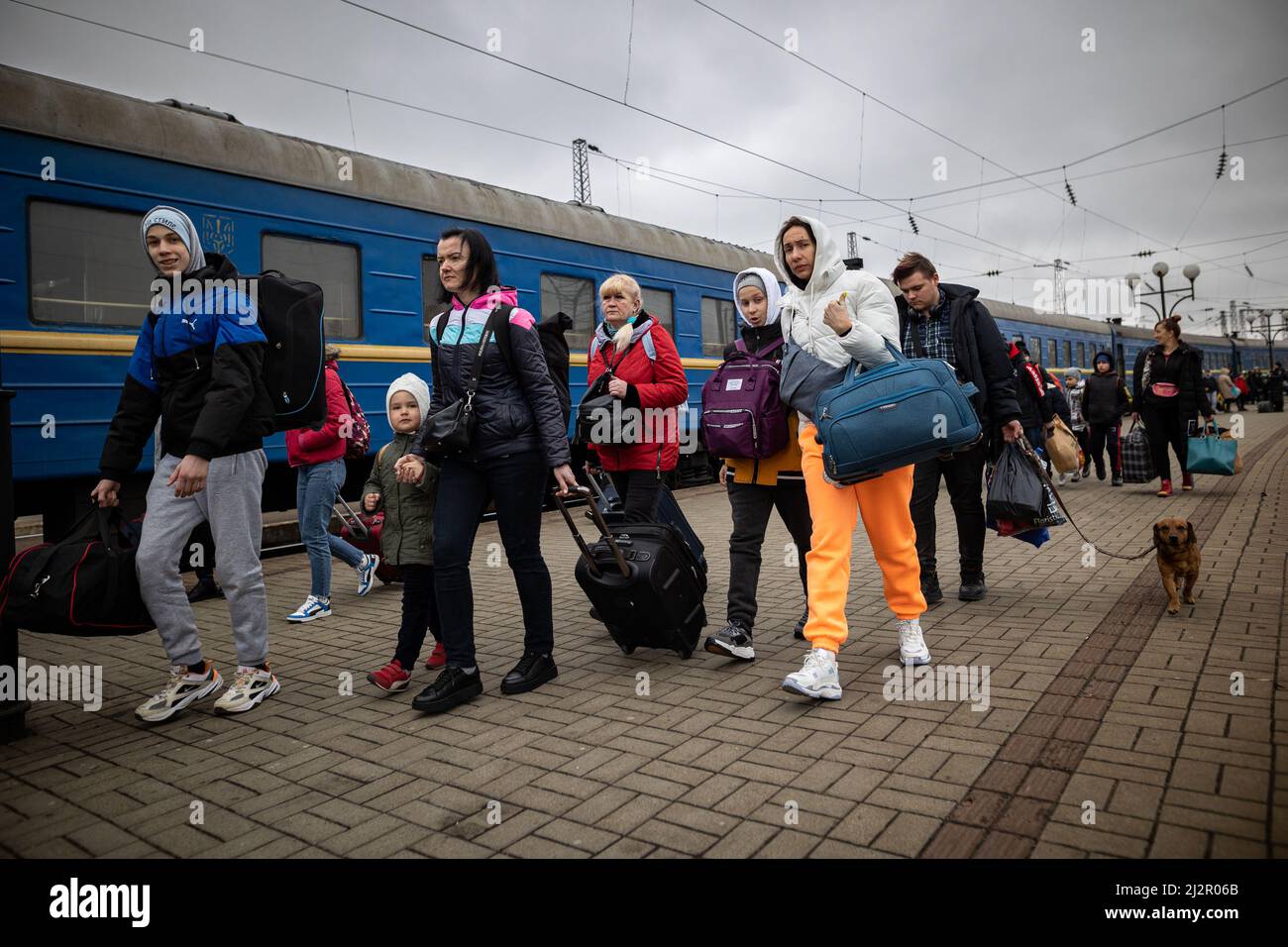 LVIV, UKRAINE - APR 02, 2022: Humanitäre Katastrophe während des Krieges in der Ukraine. Flüchtlinge mit einem kleinen Hund aus Mariupol werden am Th nach Europa geflohen Stockfoto